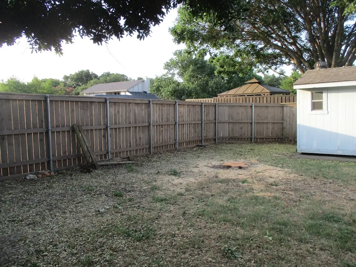 Cleared yard after professional tree removal in Moorhead